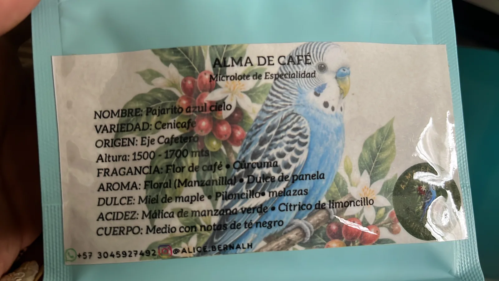 Pajarito azul cielo